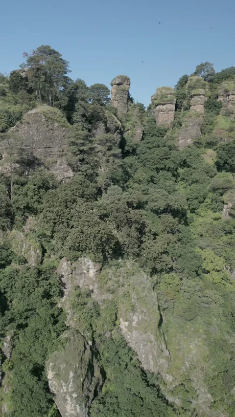 Vertical drone video. Rock formations, forested mountains and large formations Stock Footage 281208473