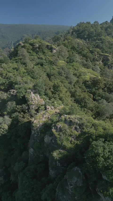 Vertical drone video. Rock formations, forested mountains Stock Footage 281672030