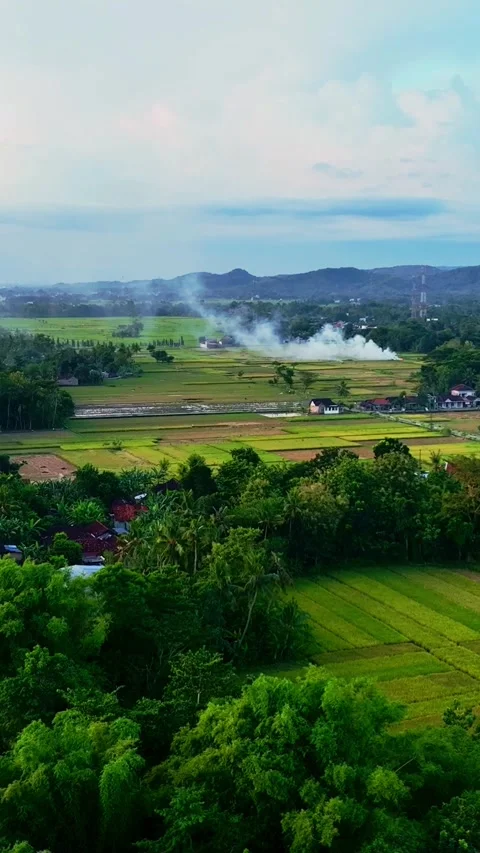 Vertical drone video of rural fields and smoke Stock Footage 336316443