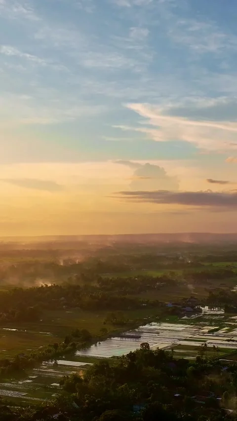 Vertical drone video of sunset over wetlands Video stock 336316357