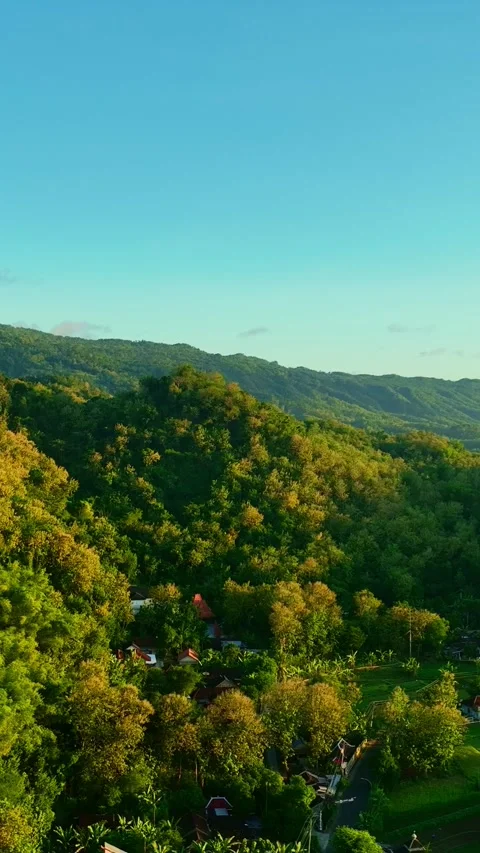Vertical drone video of sunset river valley Stock Footage 336316173
