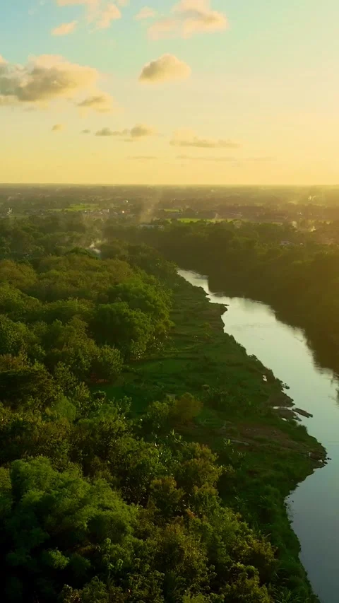 Vertical drone video of sunset river forest Stock Footage 336316307