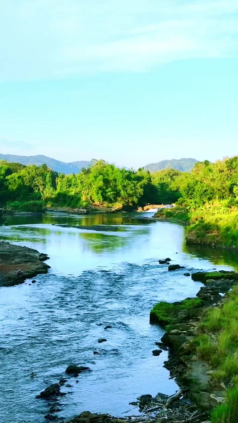 Vertical drone video of tropical river rapids Stock Footage 336316065