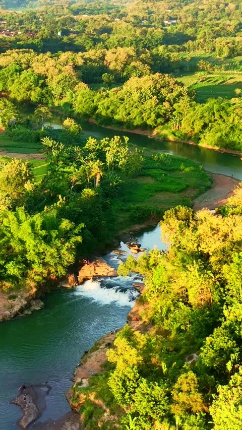 Vertical drone video of winding tropical river Stock Footage 336316085