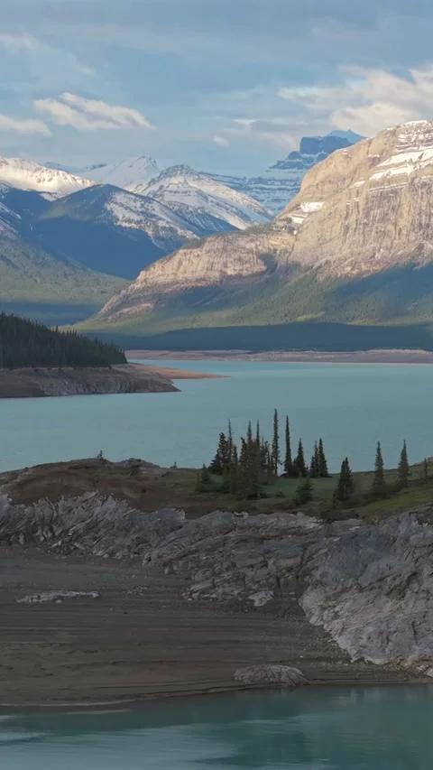 Vertical drone view of Abraham Lake and pine trees Stock Footage 337347515
