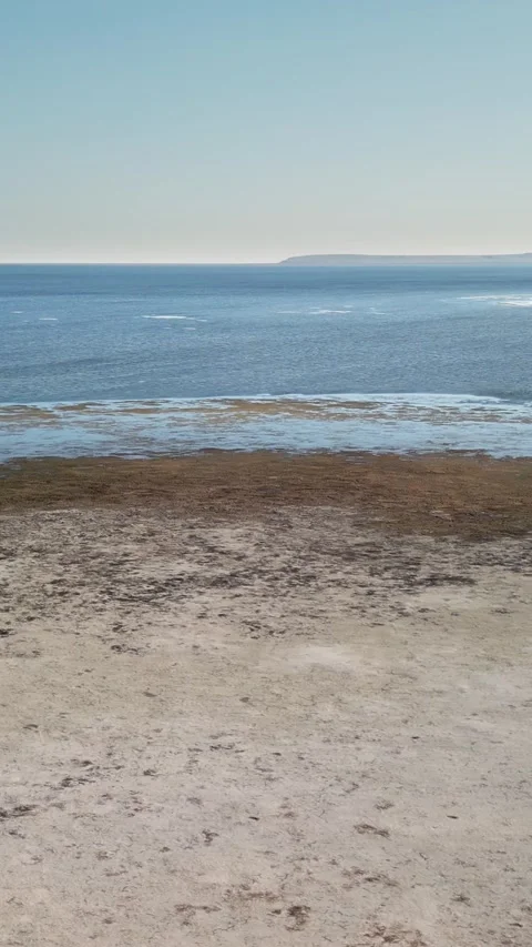 Vertical Drone View of Aral Sea Coastline Stock Footage 339104520