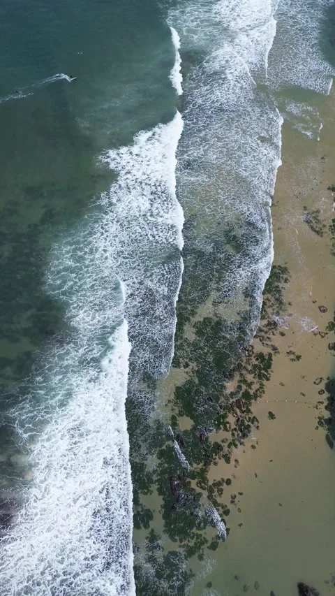 Vertical Drone View Bar Beach Stock Footage 313767843