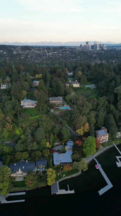 Vertical Drone View of Bellevue Waterfront Homes at Sunset Vidéo 348419459