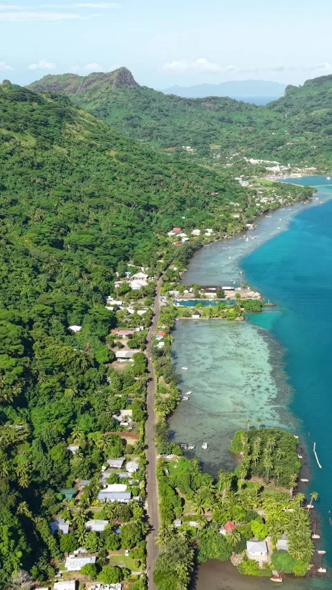 Vertical Drone View of Bora Bora Island, French Polynesia. Coastline, Road and Stock Footage 346614255