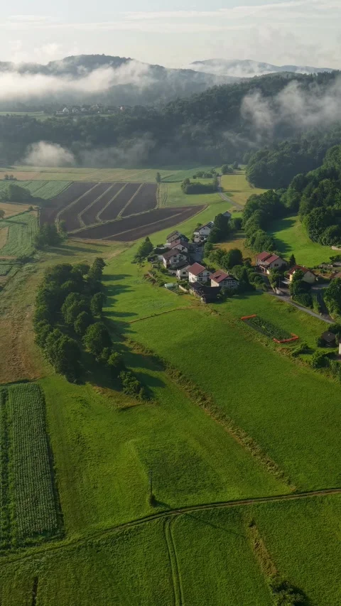Vertical Drone View of Fog Above Agricultural Fields and Village Houses in Stock Footage 346502521