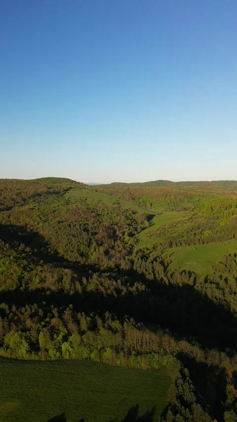 Vertical drone view of green hills and meadows in spring light Stock Footage 308168277