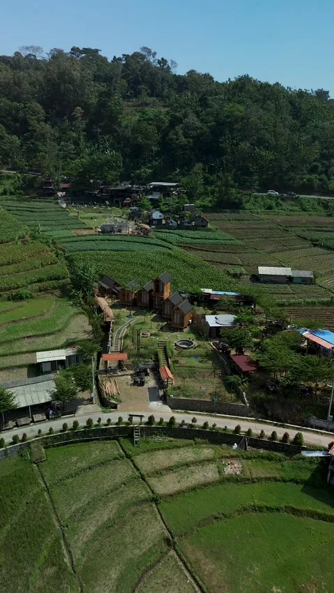 Vertical Drone View of Hillside Rice Fields and Village August 2 2026 Video stock 341877385