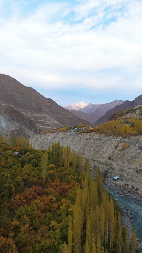 Vertical drone view of Ladakh’s river lined with fall foliage. Stock Footage 310661661