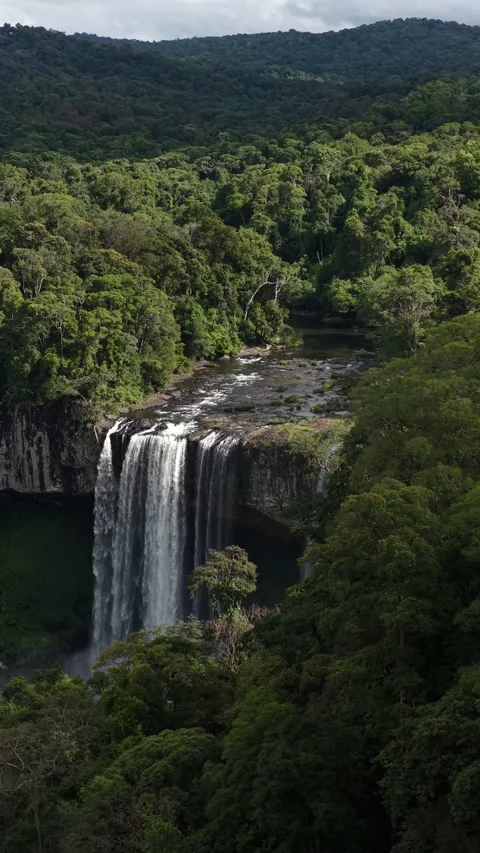 Vertical Drone View of Massive Waterfall Flowing in Primeval Jungle 스톡 동영상 344043916