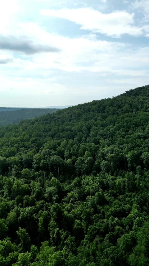 Vertical Drone View of Mountain Forest Valley with Rural Cabins. Stock Footage 330353646
