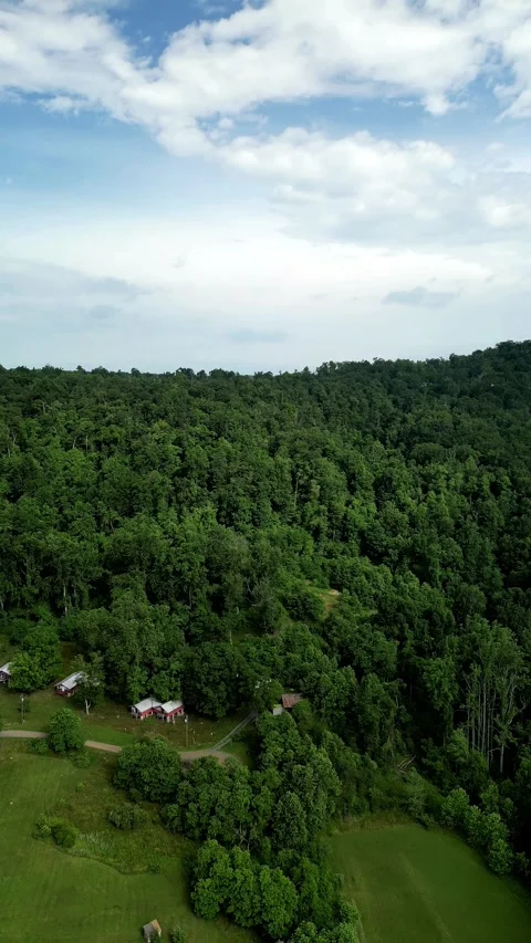 Vertical Drone View of Mountain Forest Valley with Rural Cabins. Stock Footage 330353657