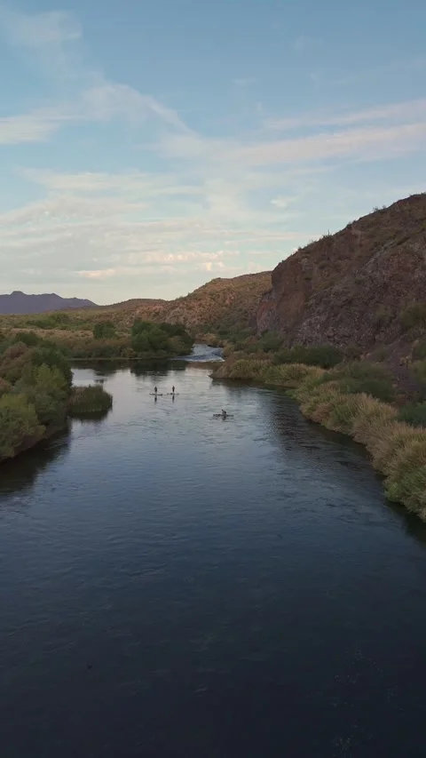 Vertical Drone View Of People Paddle Boarding On The Salt River In AZ Stock Footage 343878844