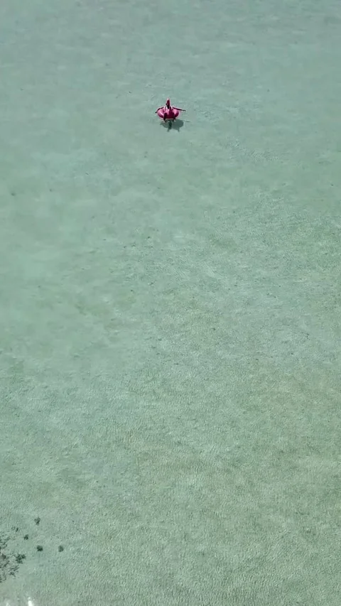 Vertical drone view of person floating on pink flamingo in Faafu Atoll ocean Vidéo 344257138