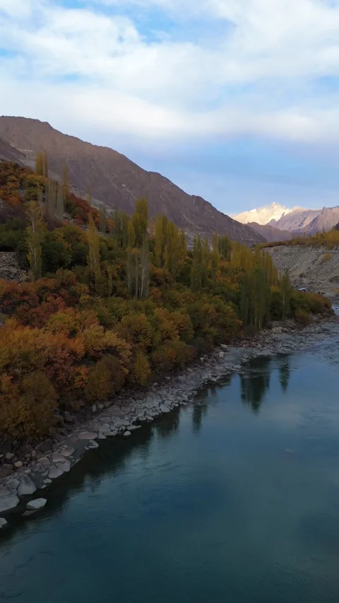 Vertical drone view of a river slicing through autumn trees. Stock Footage 310661509