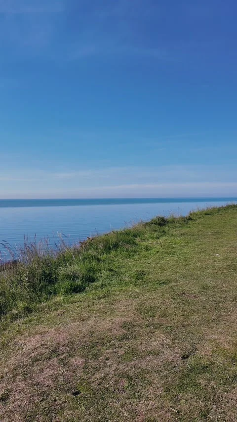 Vertical drone view of scenic coastal hill and calm ocean under clear summer sky Stock Footage 309769033
