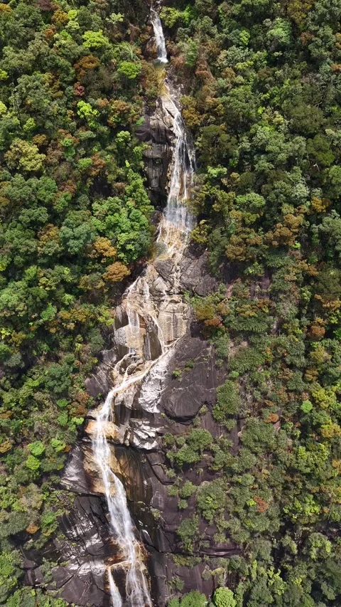 Vertical Drone View of Tall Waterfall Flowing Down Jungle Mountain Rock 스톡 동영상 343698254