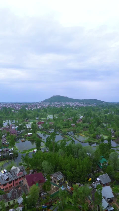 Vertical drone view of timeless routines on Kashmir’s floating paradise. Stock Footage 310806662