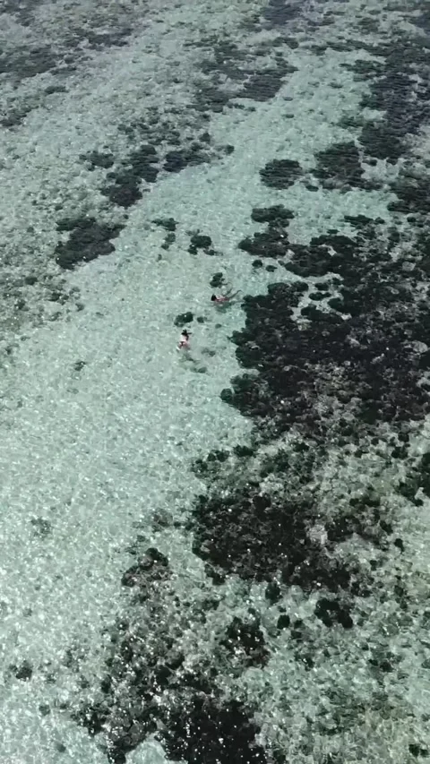 Vertical drone view of two people snorkeling over coral reef in Faafu Atoll Видео 344257184