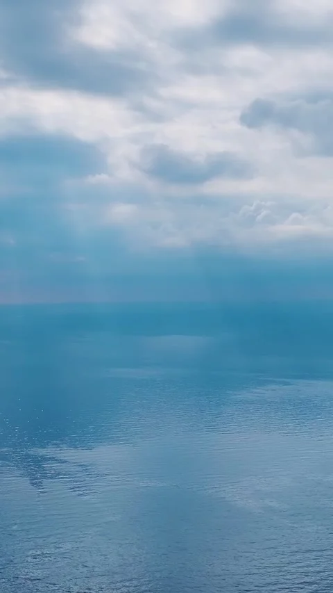 Vertical drone view of two seabirds swimming in clear blue water Video stock 341872165