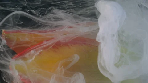 Vertical drop flower smoke art vapor tulip water Stock Footage 341540040