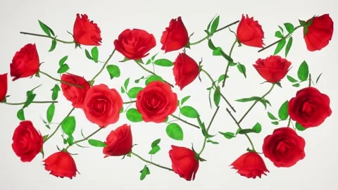 Vertical drop roses 4k 3d animation for romance holiday love couples relatio Stock Footage 229435748