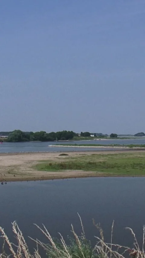 Vertical - Dutch river landscape River Waal Stock Footage 308463333