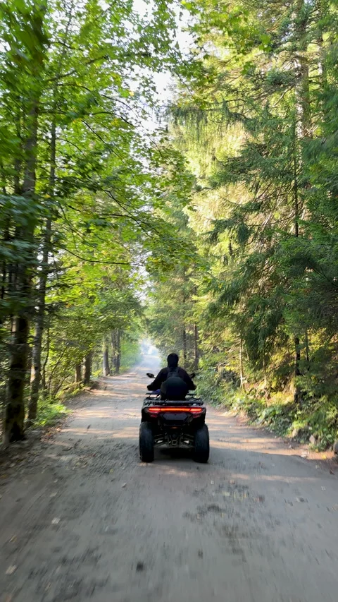Vertical dynamic footage of man rides an ATV on a dirt road in the forest on a Stock Footage 288108155