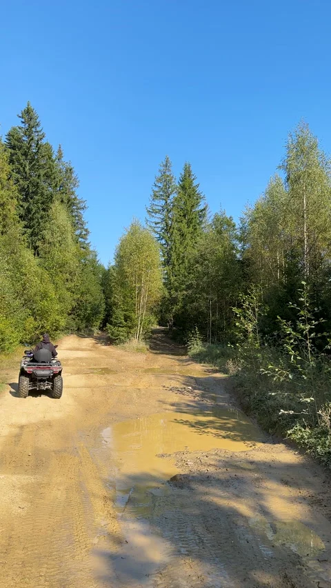 Vertical dynamic footage of man rides an ATV on a dirt road in the forest Stock Footage 293071345