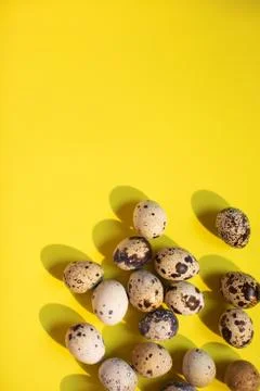Vertical easter background with quail eggs on yellow background Stock Photos