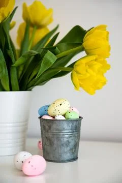 Vertical easter banner with vase and tulips and pastel eggs in a small bucket Stock Photos