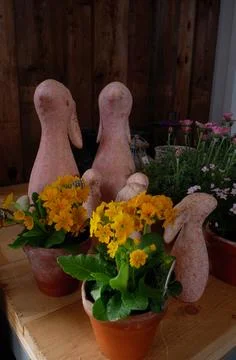 Vertical Easter composition with white ceramic rabbits, blooming spring yel.. Fotos Stock