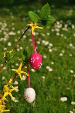 Vertical easter eggs on branchlet with garden in background 스톡 사진