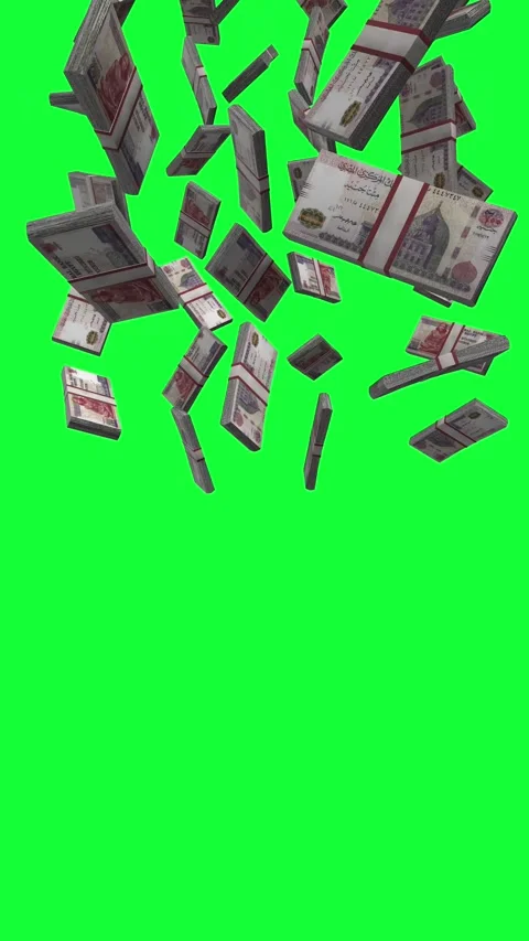 Vertical Egyptian Pound Falling Animation Stacks Of Money on Green Screen 動画素材 302309707