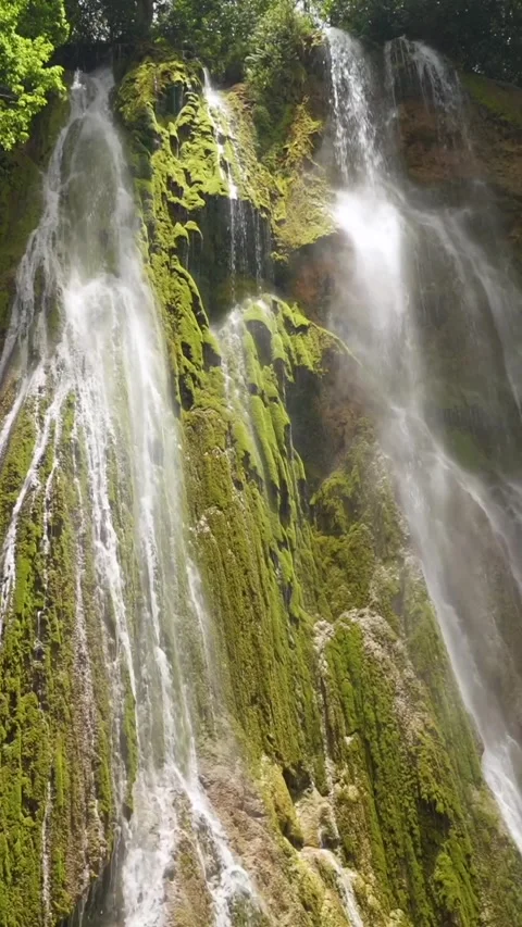 Vertical El Limon waterfall, Northeastern Dominican Republic. Water rapidly Stock Footage 292592848