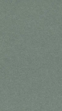 Vertical elegant light grey cardboard texture background Stock Illustration