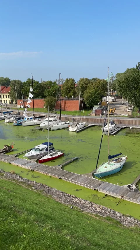 Vertical. Elevated panning shot of yachts in green algae water Vídeo Stock 278027217