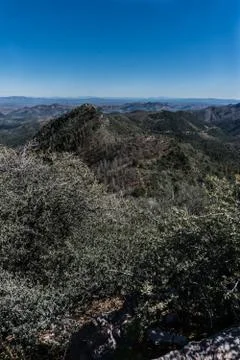 Vertical Emory Pass area view in New Mexico. Stock Photos