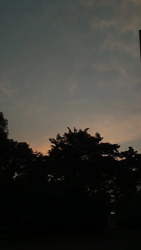 Vertical Evening Sky Gradient Above Tree Silhouettes Vidéo 340655280
