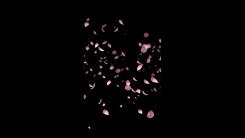 Vertical Falling Pink Petals Animation for Romantic Video Overlay Vidéo 335615022