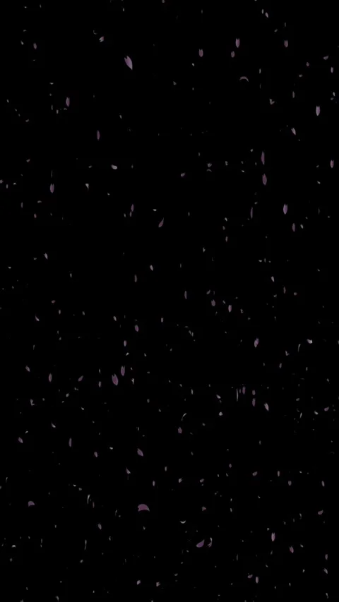 Vertical Falling Pink Sakura Cherry Blossom Petals 4K Loop Video stock 334533573