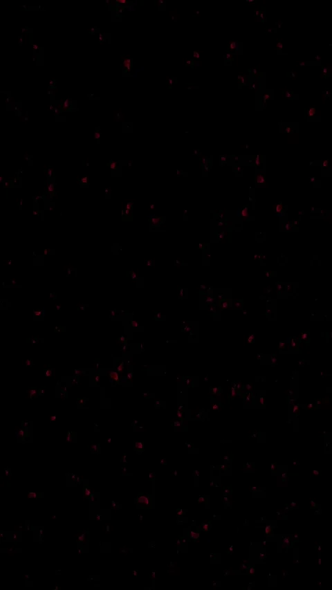 Vertical Falling Red Rose Petals Romantic 4K Loop Overlay Vidéo 334533553