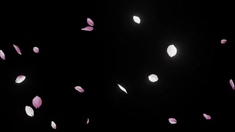 Vertical Falling Sakura Petals Overlay for Transitions 스톡 동영상 326195001