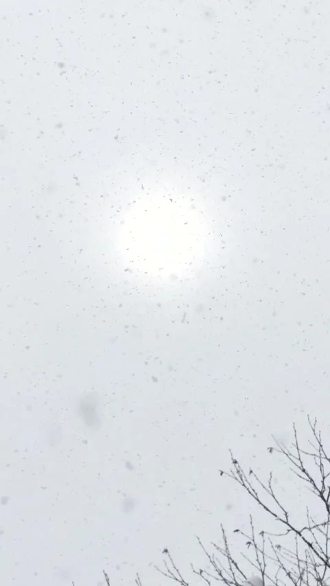 VERTICAL: Falling snowflakes as soft winter sun diffuses through overcast sky Stock Footage 293094589