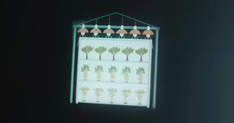 Vertical farm, growing crops in a vertically stacked layers Stock Footage 314731370