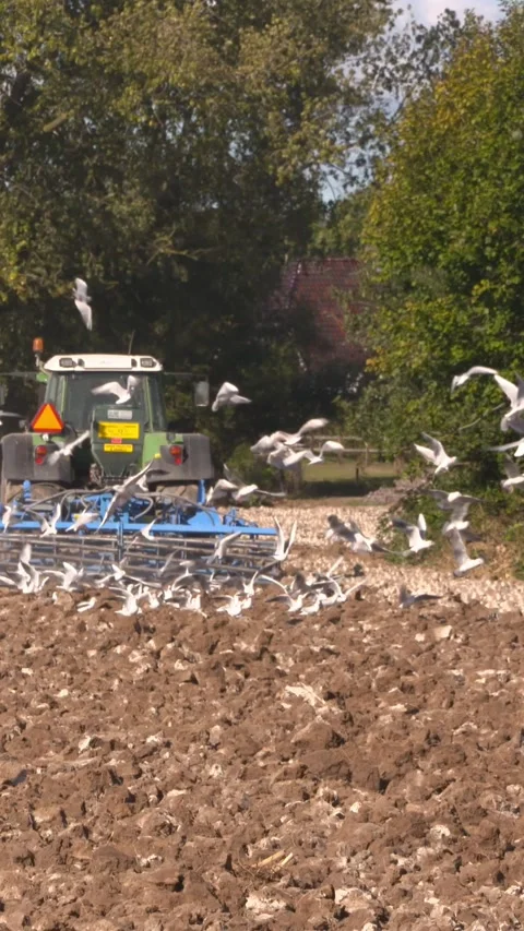 Vertical - Farmer plows arable field in clay area Stock Footage 311575473